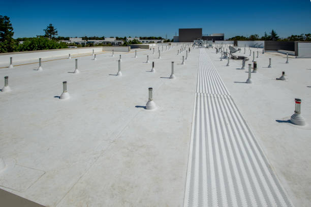 Best Commercial Roofing Services  in Peach Springs, AZ